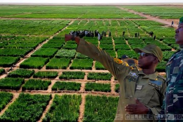 La priorité à la consommation des produits locaux 